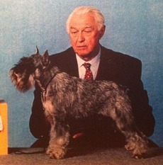 De Havenstad szentelt vize